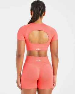 Adapt Seamless Crop Top