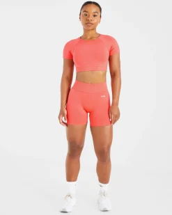 Adapt Seamless Crop Top