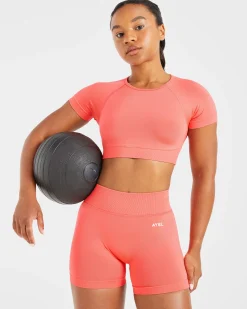 Adapt Seamless Crop Top