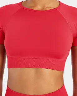 Adapt Seamless Crop Top