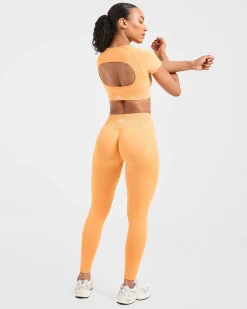 Adapt Seamless Leggings