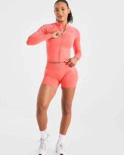 Adapt Seamless Shorts | 4.5